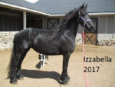 Izzabella